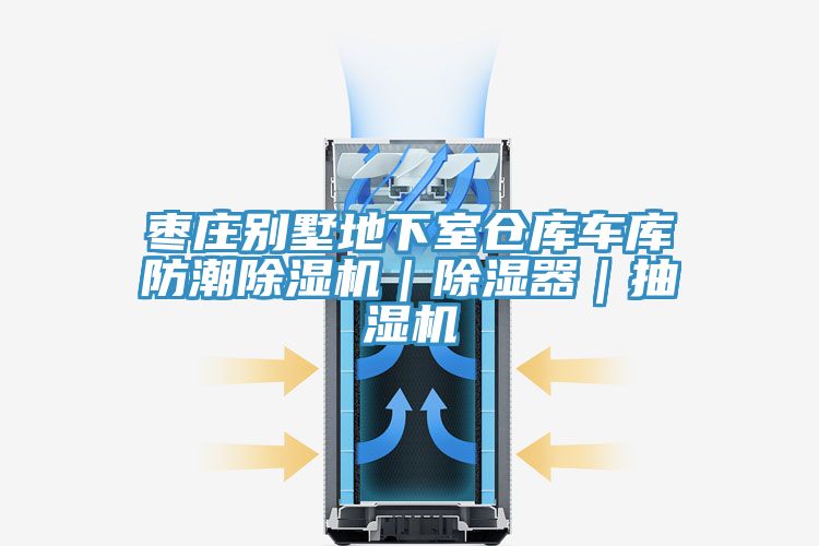 亚洲欧美一级特黄大片 枣庄别墅地下室仓库车库防潮除湿机｜除湿器｜抽湿机