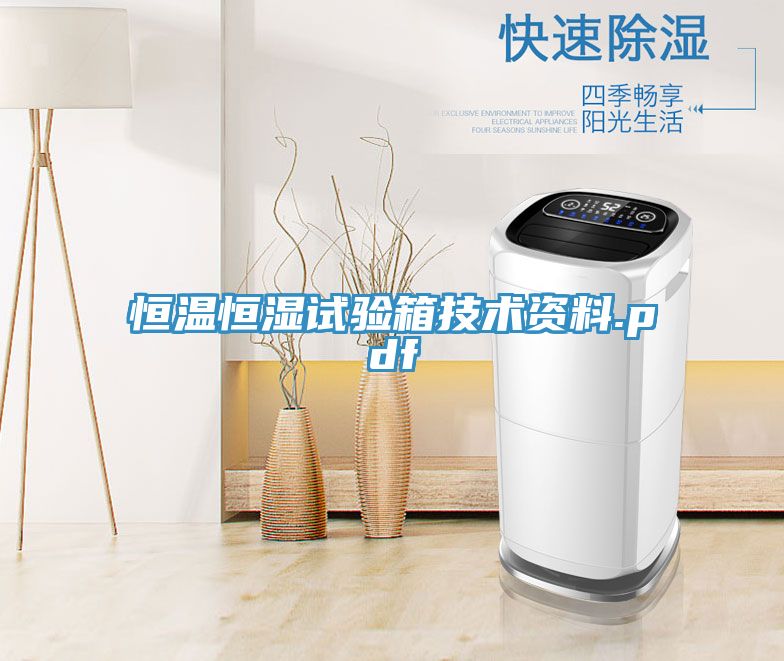 亚洲人成综合第一网站 恒温恒湿试验箱技术资料.pdf