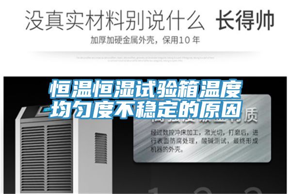 亚洲人成综合第一网站 恒温恒湿试验箱温度均匀度不稳定的原因