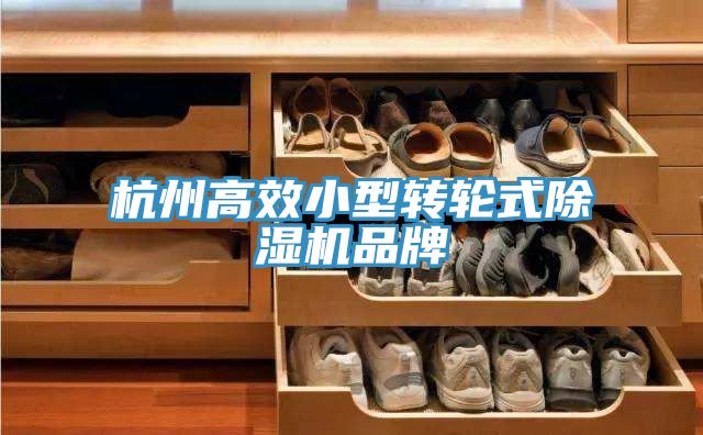 亚洲欧美一级特黄大片 杭州高效小型转轮式除湿机品牌