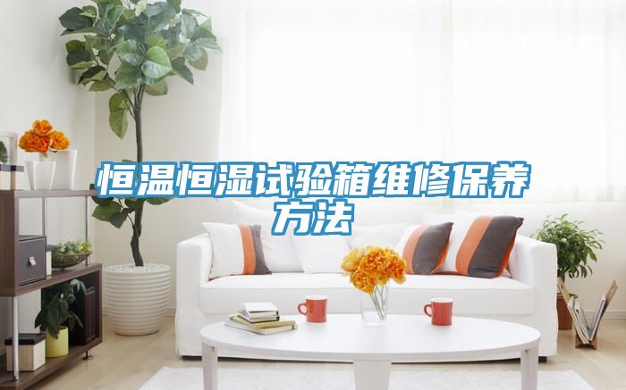 亚洲人成综合第一网站 恒温恒湿试验箱维修保养方法