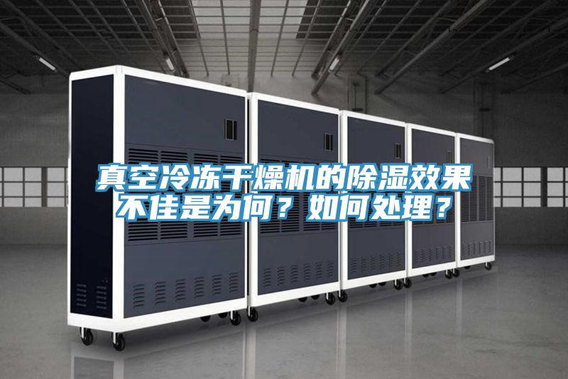 亚洲欧美一级特黄大片 真空冷冻干燥机的除湿效果不佳是为何？如何处理？