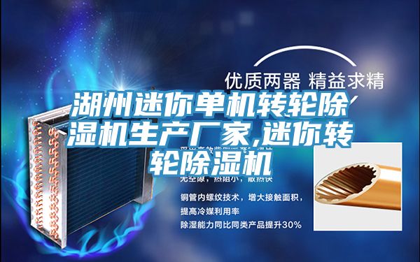 亚洲乱码一区二区三区 湖州迷你单机转轮除湿机生产厂家,迷你转轮除湿机