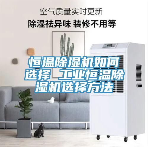 亚洲人成综合第一网站 恒温除湿机如何选择 工业恒温除湿机选择方法