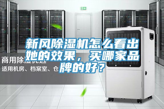 亚洲乱码一区二区三区 新风除湿机怎么看出她的效果，买哪家品牌的好？