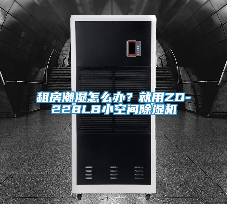 亚洲欧美一级特黄大片 租房潮湿怎么办？就用ZD-228LB小空间除湿机