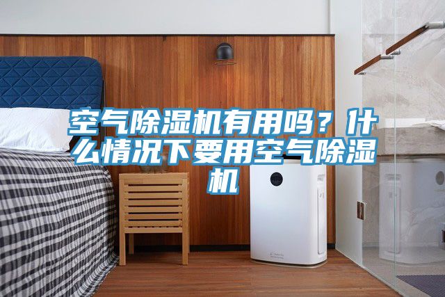 亚洲欧美一级特黄大片 空气除湿机有用吗？什么情况下要用空气除湿机