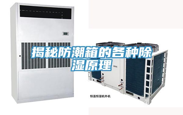 亚洲人成综合第一网站 揭秘防潮箱的各种除湿原理