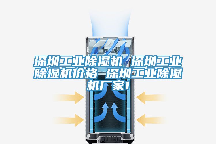 亚洲人成综合第一网站 深圳工业除湿机 深圳工业除湿机价格 深圳工业除湿机厂家1