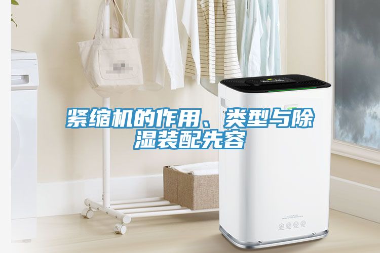 亚洲欧美一级特黄大片 紧缩机的作用、类型与除湿装配先容