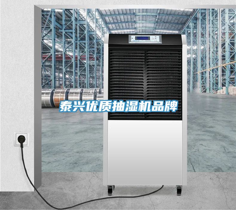 亚洲欧美一级特黄大片 泰兴优质抽湿机品牌