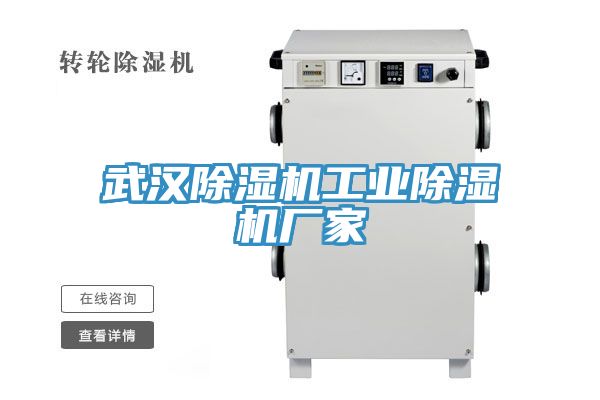 亚洲人成综合第一网站 武汉除湿机工业除湿机厂家
