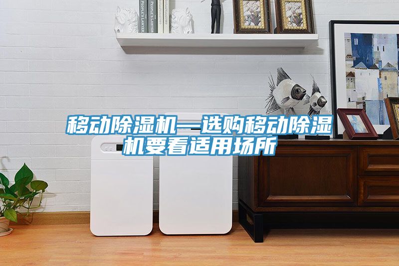 亚洲欧美一级特黄大片 移动除湿机—选购移动除湿机要看适用场所