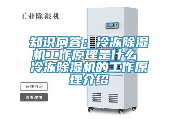 亚洲乱码一区二区三区 知识问答：冷冻除湿机工作原理是什么 冷冻除湿机的工作原理介绍