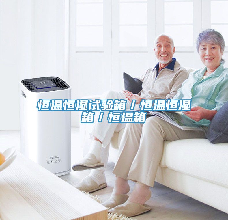 亚洲人成综合第一网站 恒温恒湿试验箱／恒温恒湿箱／恒温箱