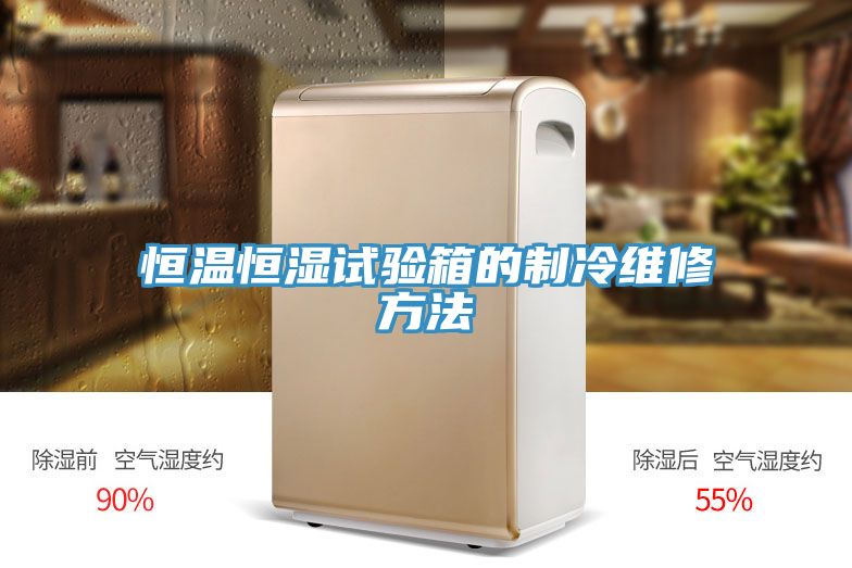 亚洲人成综合第一网站 恒温恒湿试验箱的制冷维修方法