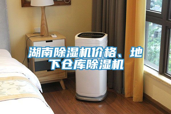 亚洲人成综合第一网站 湖南除湿机价格、地下仓库除湿机