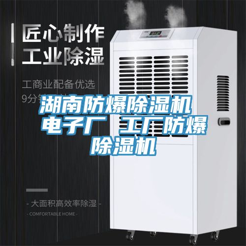 亚洲欧美一级特黄大片 湖南防爆除湿机 电子厂 工厂防爆除湿机