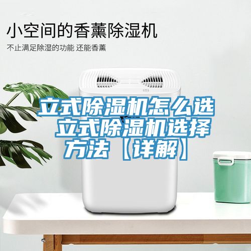 亚洲人成综合第一网站 立式除湿机怎么选 立式除湿机选择方法【详解】