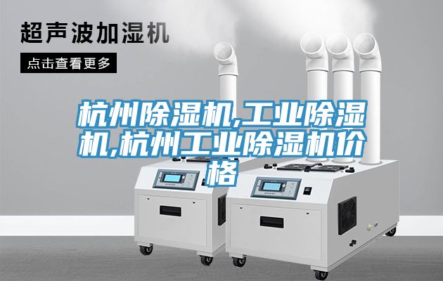 亚洲人成综合第一网站 杭州除湿机,工业除湿机,杭州工业除湿机价格