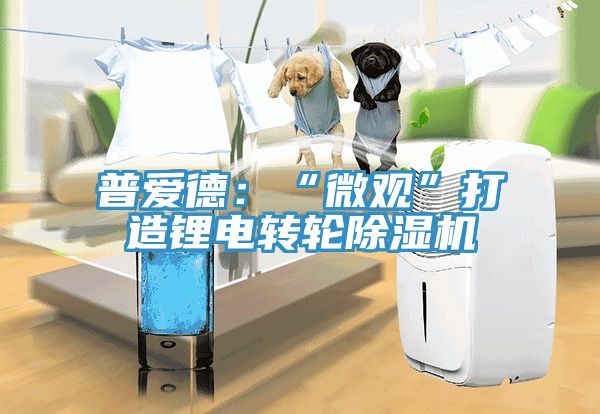 亚洲人成综合第一网站 普爱德：“微观”打造锂电转轮除湿机