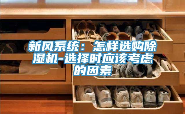 亚洲欧美一级特黄大片 新风系统：怎样选购除湿机-选择时应该考虑的因素