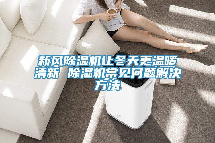 亚洲乱码一区二区三区 新风除湿机让冬天更温暖清新 除湿机常见问题解决方法