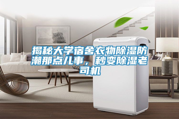 亚洲乱码一区二区三区 揭秘大学宿舍衣物除湿防潮那点儿事，秒变除湿老司机