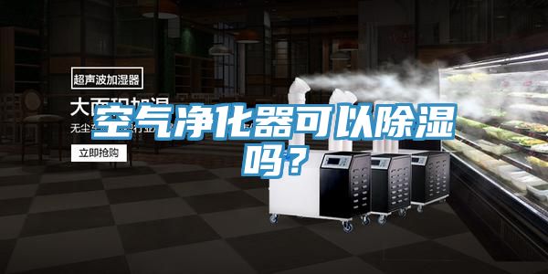 亚洲欧美一级特黄大片 空气净化器可以除湿吗？