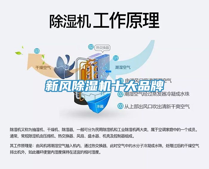 亚洲人成综合第一网站 新风除湿机十大品牌