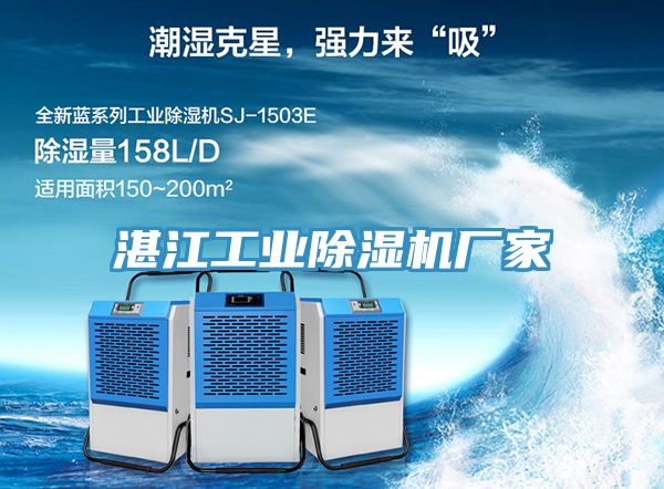 亚洲欧美一级特黄大片 湛江工业除湿机厂家