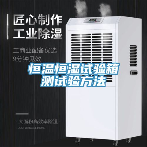 亚洲欧美一级特黄大片 恒温恒湿试验箱测试验方法