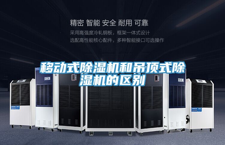 亚洲人成综合第一网站 移动式除湿机和吊顶式除湿机的区别
