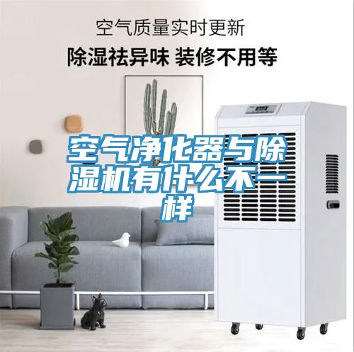 亚洲乱码一区二区三区 空气净化器与除湿机有什么不一样