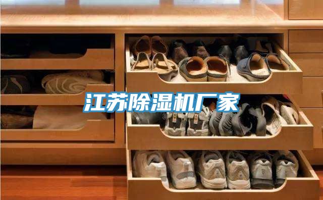 亚洲人成综合第一网站 江苏除湿机厂家