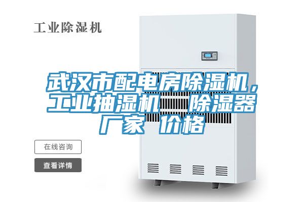 亚洲人成综合第一网站 武汉市配电房除湿机，工业抽湿机  除湿器厂家 价格