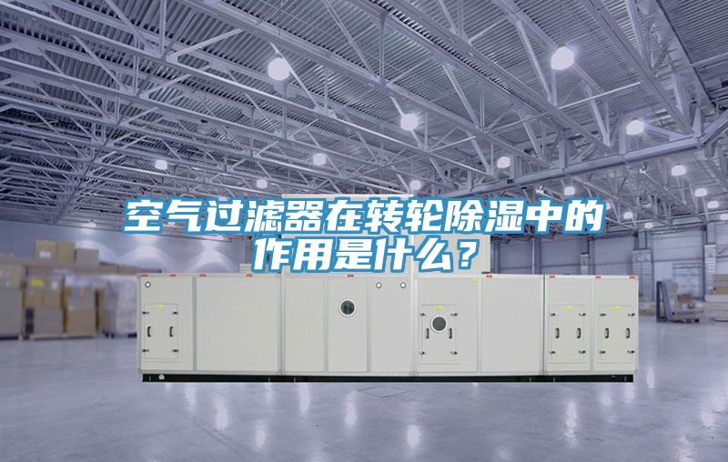 亚洲人成综合第一网站 空气过滤器在转轮除湿中的作用是什么？