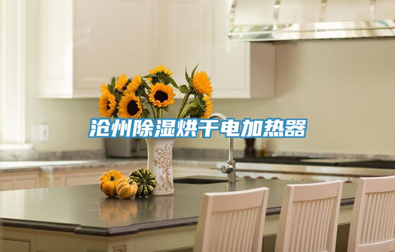 亚洲欧美一级特黄大片 沧州除湿烘干电加热器