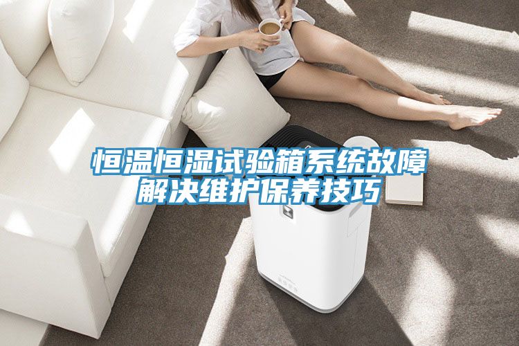 亚洲乱码一区二区三区 恒温恒湿试验箱系统故障解决维护保养技巧