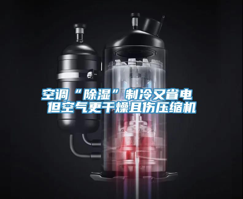 亚洲人成综合第一网站 空调“除湿”制冷又省电 但空气更干燥且伤压缩机