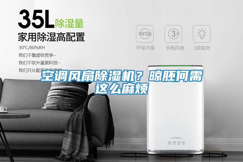 亚洲人成综合第一网站 空调风扇除湿机？晾胚何需这么麻烦