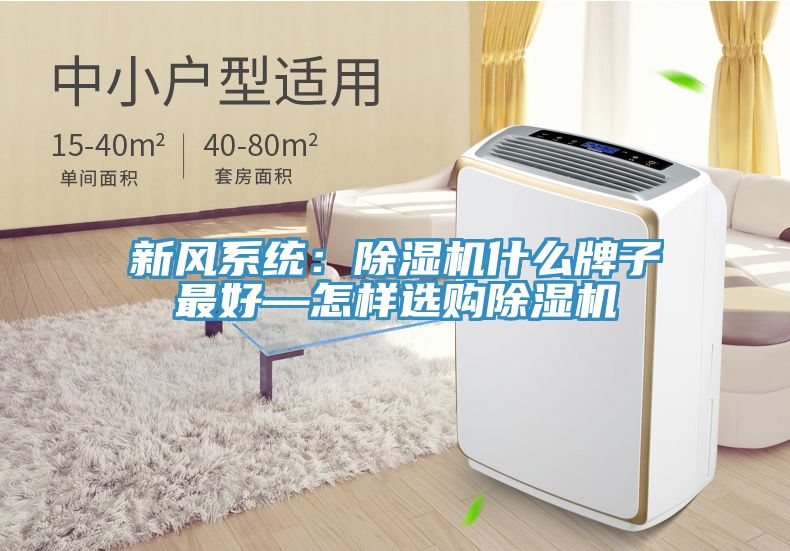 亚洲欧美一级特黄大片 新风系统：除湿机什么牌子最好—怎样选购除湿机