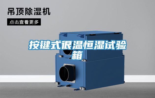亚洲人成综合第一网站 按键式很温恒湿试验箱