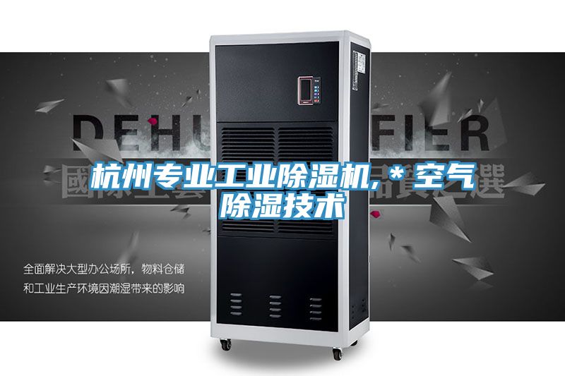 亚洲欧美一级特黄大片 杭州专业工业除湿机,＊空气除湿技术