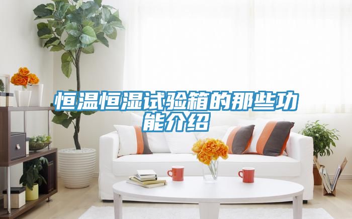亚洲人成综合第一网站 恒温恒湿试验箱的那些功能介绍