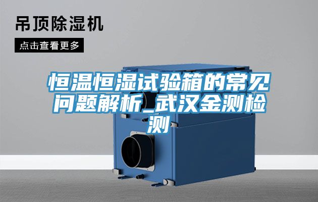 亚洲欧美一级特黄大片 恒温恒湿试验箱的常见问题解析_武汉金测检测