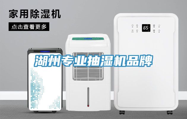 亚洲人成综合第一网站 湖州专业抽湿机品牌