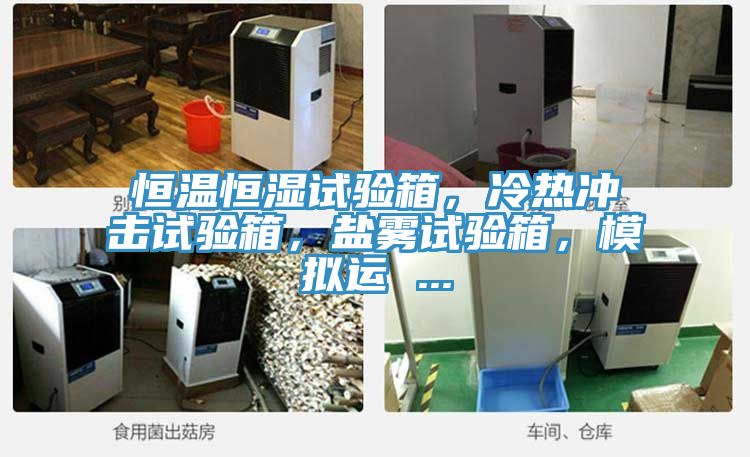 亚洲人成综合第一网站 恒温恒湿试验箱，冷热冲击试验箱，盐雾试验箱，模拟运 ...