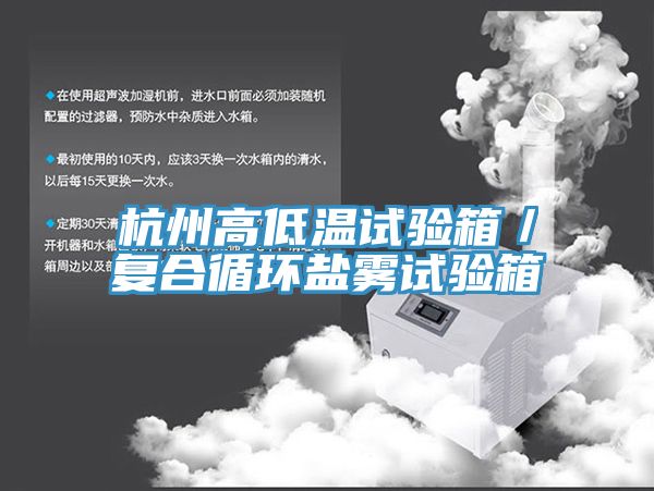 亚洲人成综合第一网站 杭州高低温试验箱／复合循环盐雾试验箱