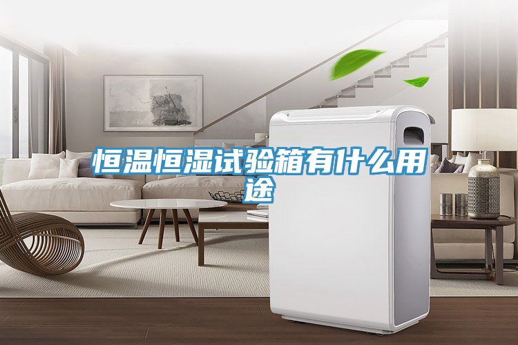 亚洲欧美一级特黄大片 恒温恒湿试验箱有什么用途